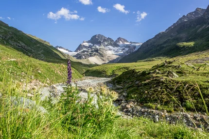 Vorarlberg © Montafon Tourismus GmbH - Stefan Kothner Gebirgslandschaft mit Fluss und Wildblumen unter klarem Himmel