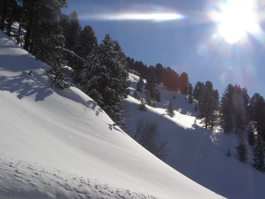 Pulverschnee-Pauschale Schneebedeckter Berghang mit Nadelbäumen bei Sonnenlicht