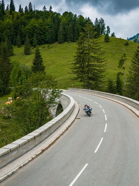 Motorradurlaub © Moppetfoto.de Motorradfahrer auf kurviger Bergstraße umgeben von Bäumen und Kühen