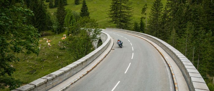 Gasthof Hotel Zur Post Samerberg *** © Moppetfoto.de Motorradfahrer auf kurviger Bergstraße umgeben von Bäumen und Kühen