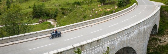 Motorvakantie in Beieren © Moppetfoto.de Motorrijder op een brug in bergachtig landschap met koeien en dennebomen