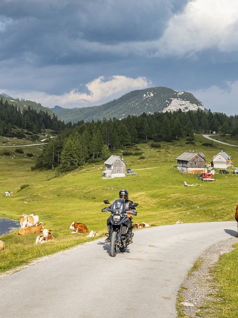 Motorradurlaub © Alexander Seger Motorradfahrer auf Landstraße mit Kühen und Bergen unter bewölktem Himmel