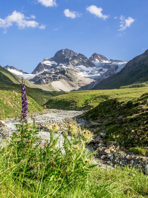 Motorradurlaub © Montafon Tourismus GmbH - Stefan Kothner Gebirgslandschaft mit Fluss und Wildblumen unter klarem Himmel