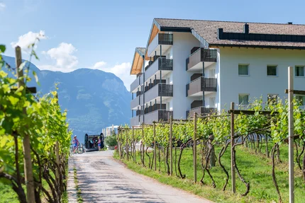Residence Garni Hotel Vineus © compusol.it Weinreben vor modernem Gebäude mit Bergen im Hintergrund